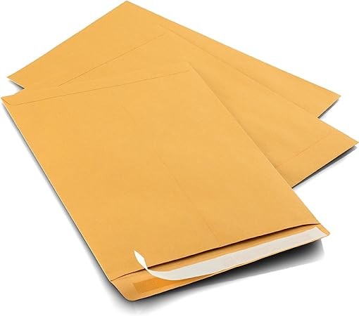 100 pieces Self-Seal Brown Kraft Catalog Mailing Envelopes - 28lb - 100 Count, 9x12 Inch (38300)